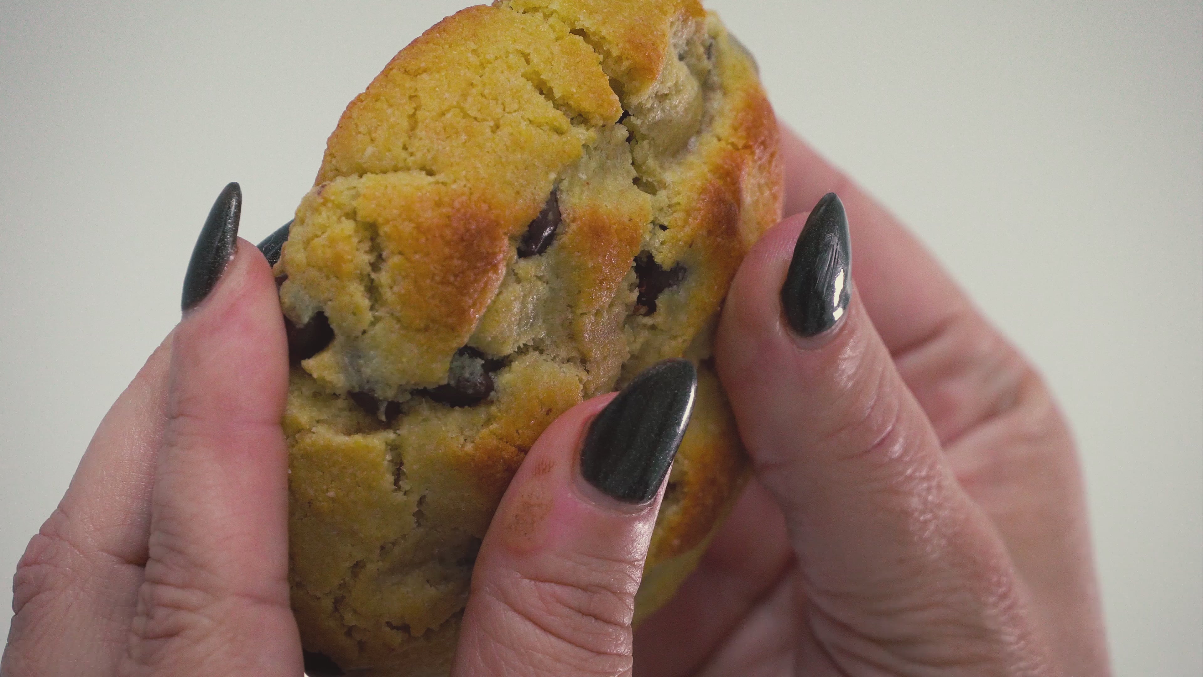 Box Of Four High Protein Chocolate Chip Cookies – SilvasZero
