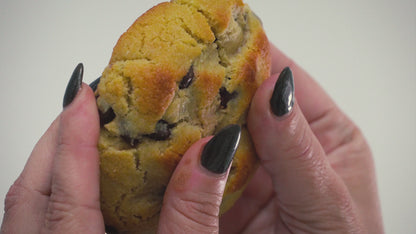 Box Of Four High Protein Chocolate Chip Cookies